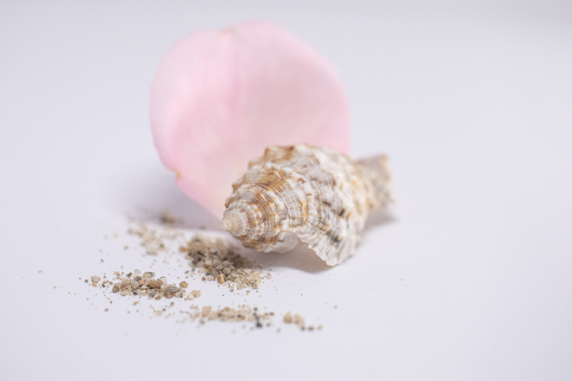 Souffle d'écume et de rose